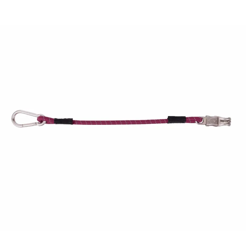 QHP Trailer Tie Elastic Collection - Saddlery